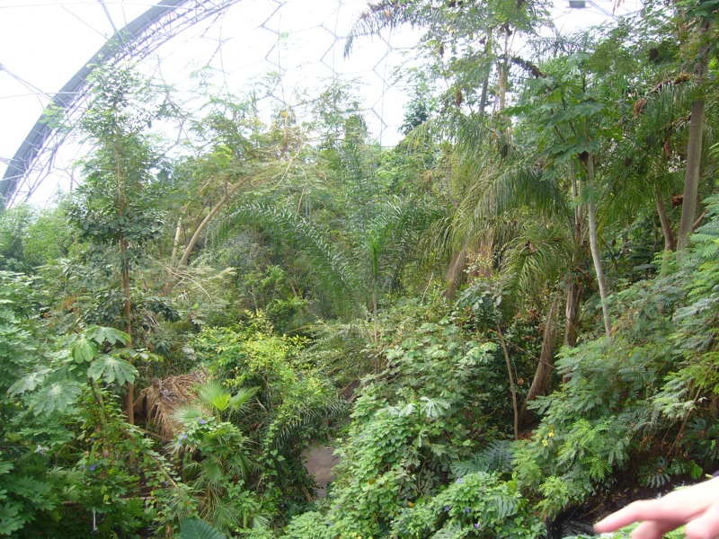 Eden Project - subtropischer Bereich