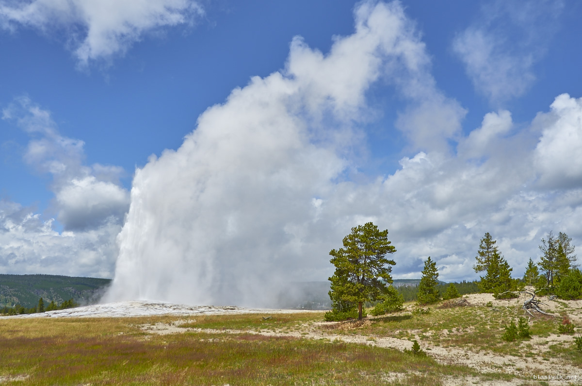 And here is the star of the show - Old Faithful geyser