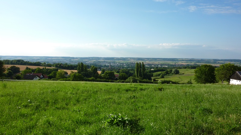 Blick von Oberdingolfing auf die Stadt