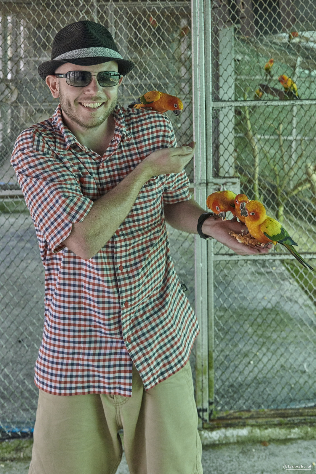 Me and my bird friends @ Paradise Park Farm